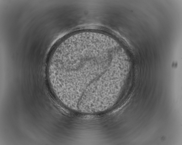 X0000095511166200801111407