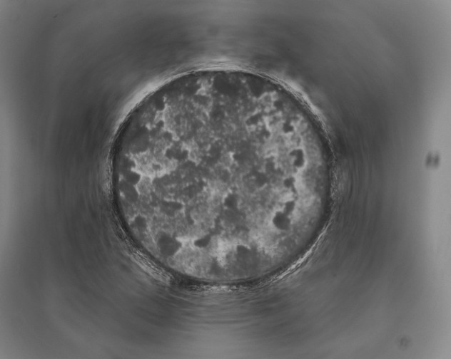 X0000095511167200801111407