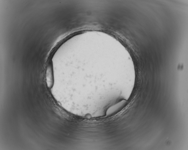 X0000095511168200801111407