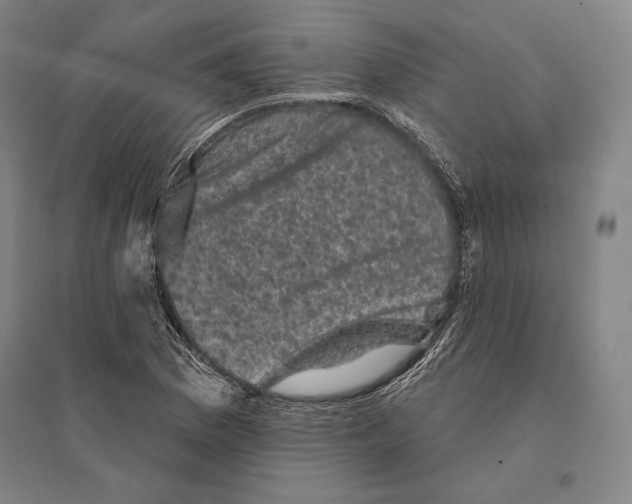 X0000095511169200801111407