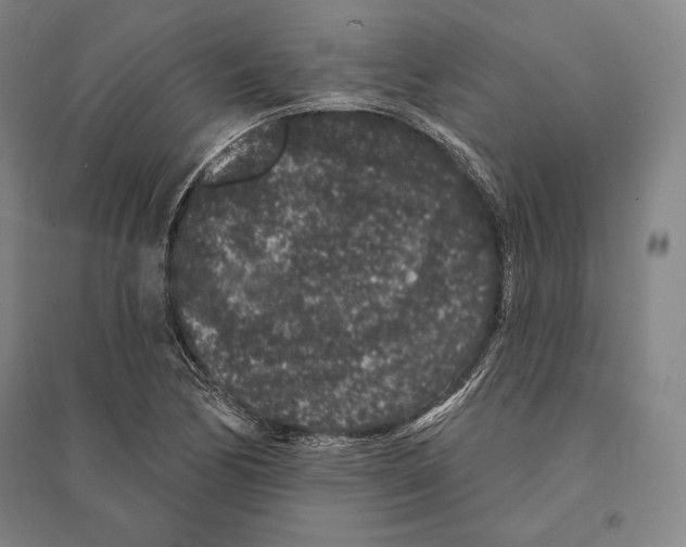 X0000095511170200801111407