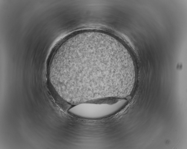 X0000095511172200801111407