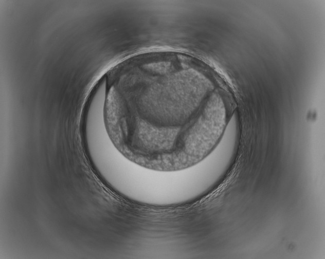 X0000095511173200801111407