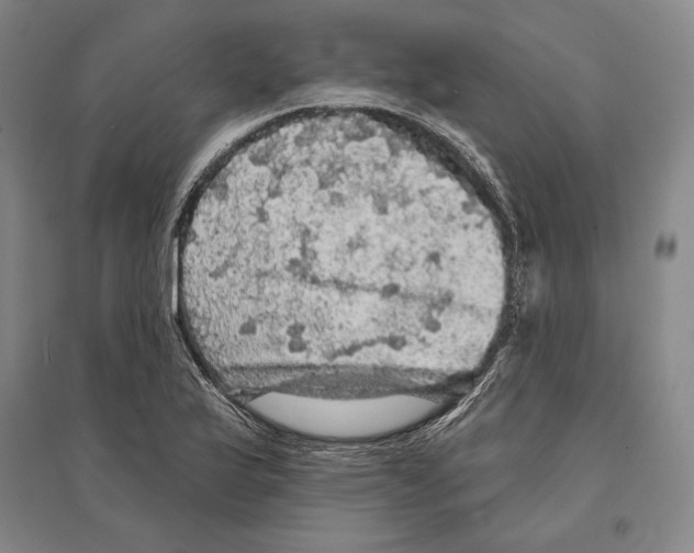 X0000095511175200801111407