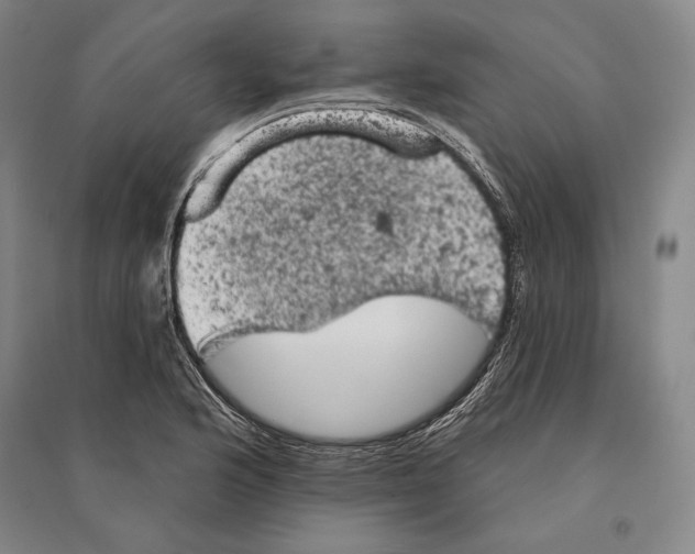 X0000095511176200801111407