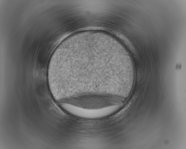 X0000095511177200801111407