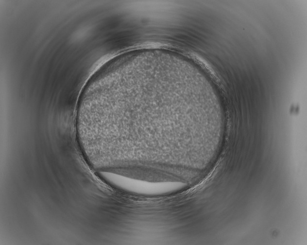X0000095511178200801111407