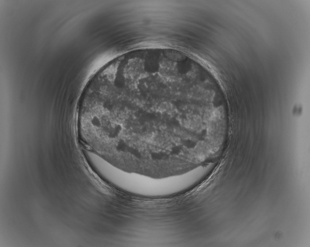 X0000095511179200801111407