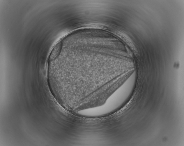 X0000095511180200801111406