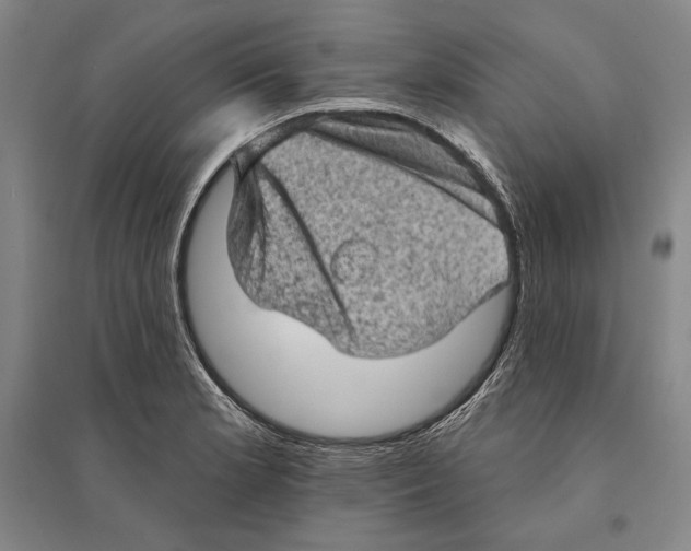 X0000095511181200801111406