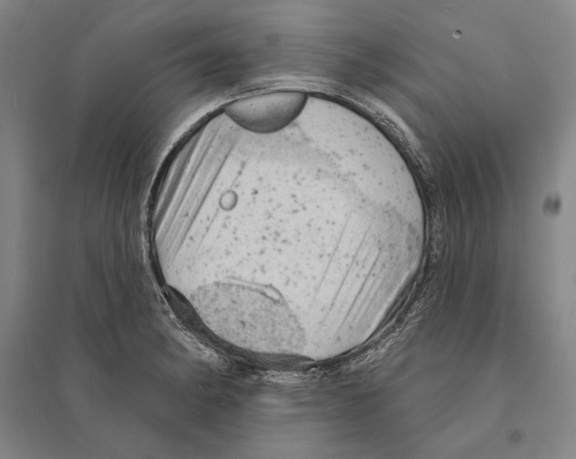 X0000095511182200801111406