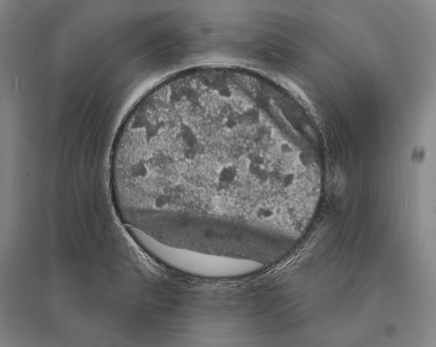 X0000095511183200801111406