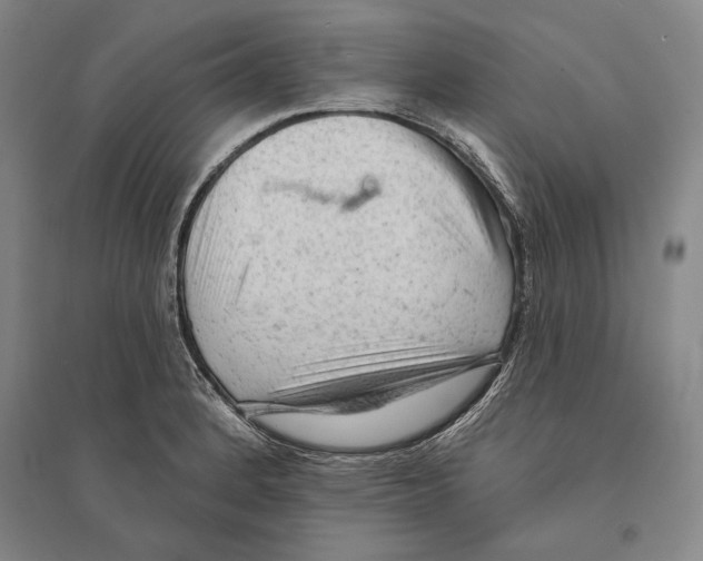X0000095511184200801111406