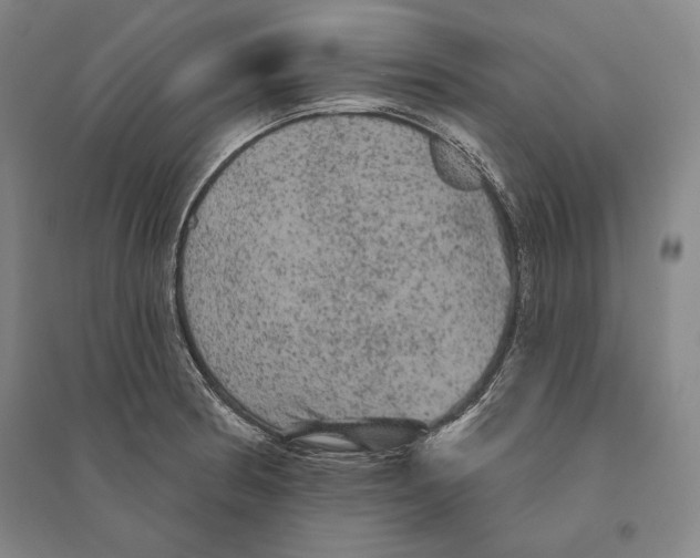 X0000095511186200801111406