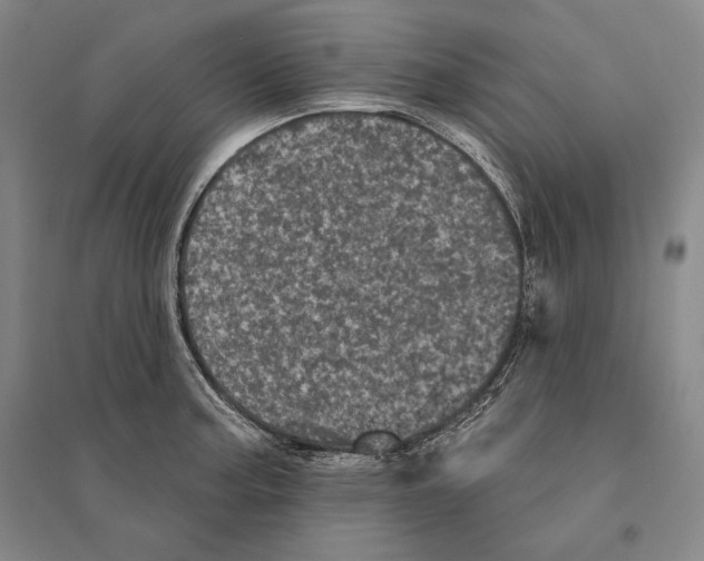 X0000095511187200801111406