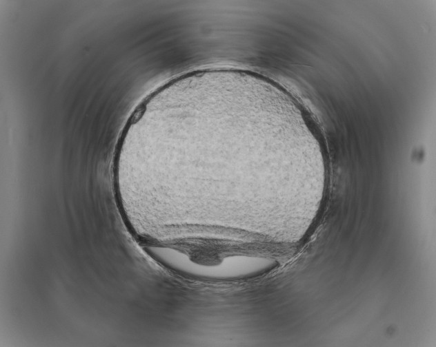 X0000095511189200801111406