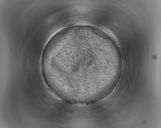 X0000095511190200801111406