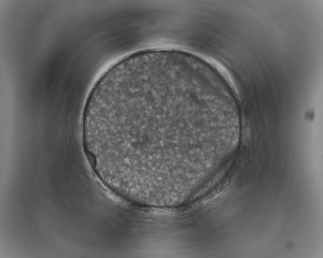 X0000095511191200801111406