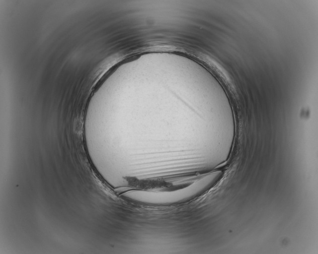 X0000095511193200801111406