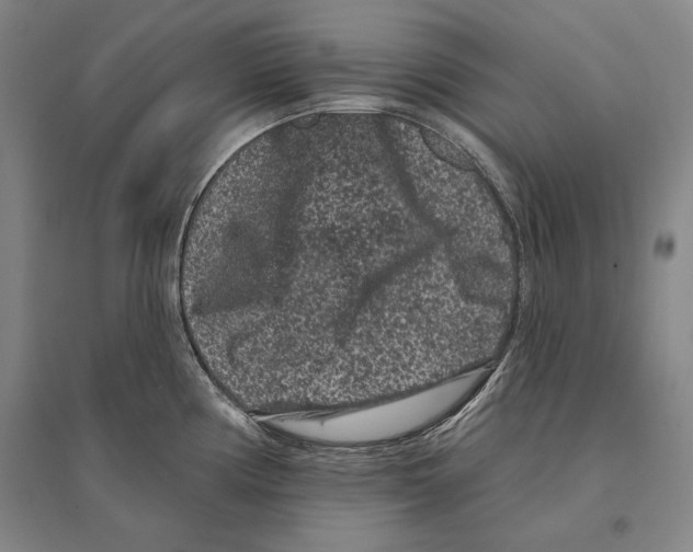 X0000095511194200801111406