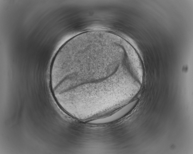 X0000095511195200801111406