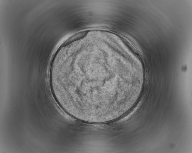 X0000095511196200801111406