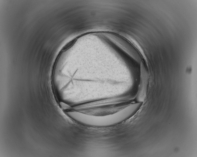 X0000095511197200801111406