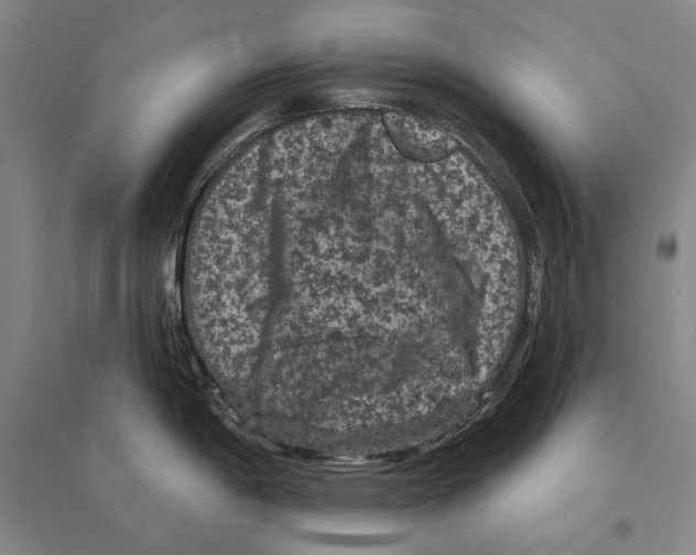 X0000095511198200801111406