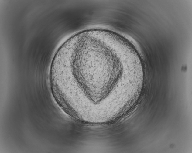 X0000095511199200801111406