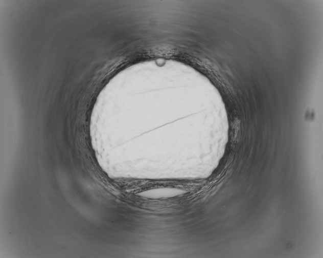X0000095511201200801111406