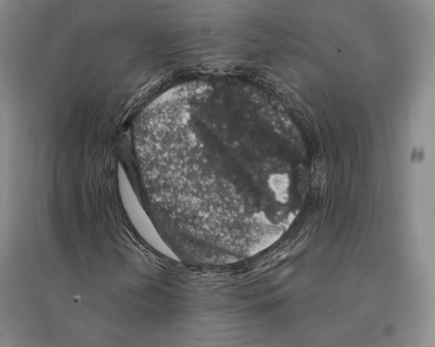 X0000095511202200801111406