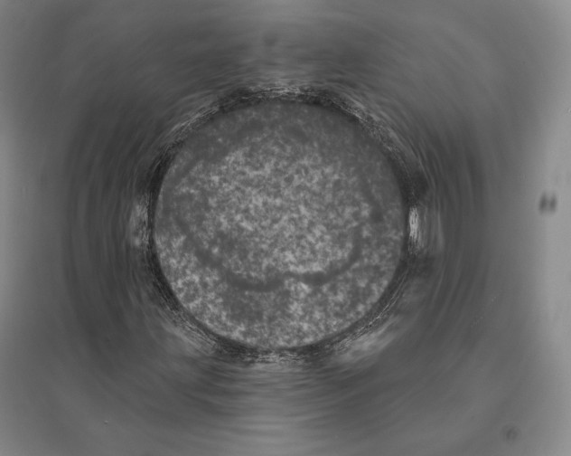 X0000095511203200801111406