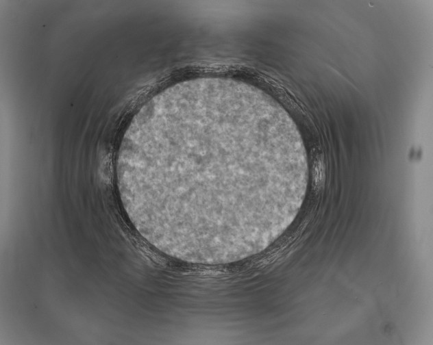 X0000095511204200801111406