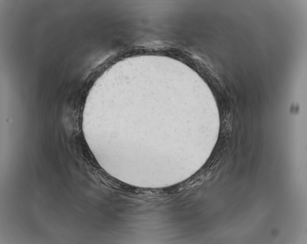X0000095511205200801111406