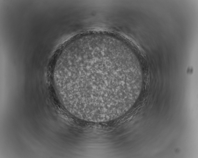 X0000095511207200801111406
