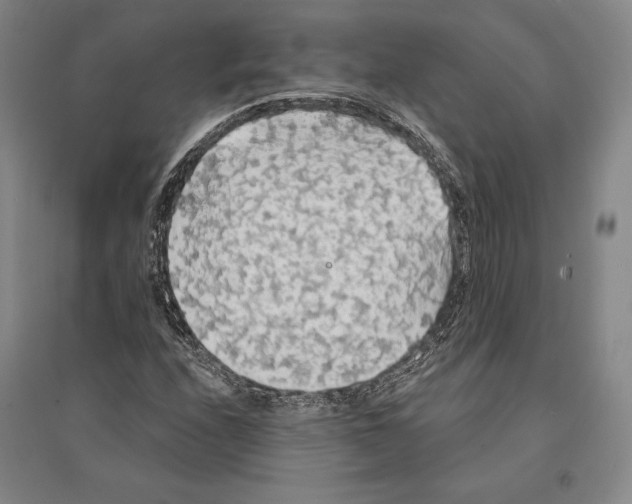 X0000095511208200801111406