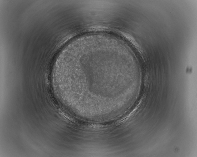 X0000095511209200801111406