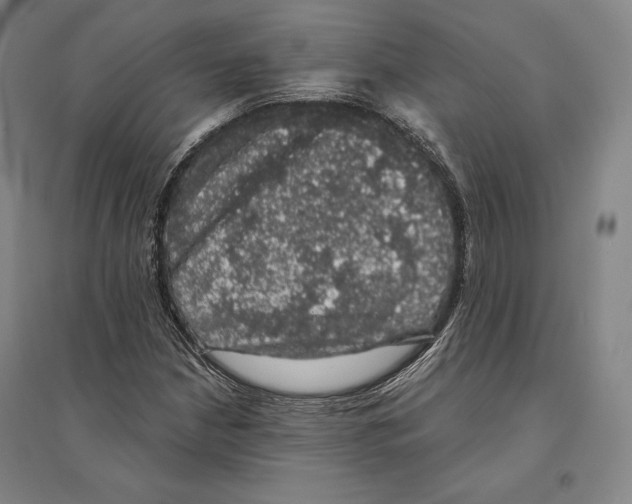 X0000095511210200801111406