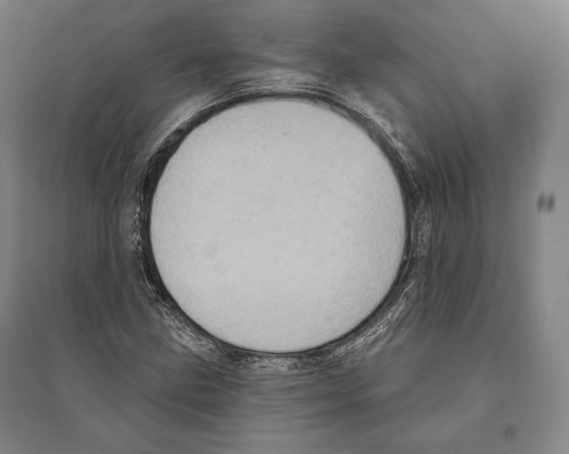 X0000095511211200801111406
