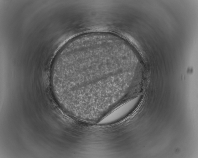 X0000095511212200801111406