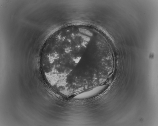 X0000095511213200801111406