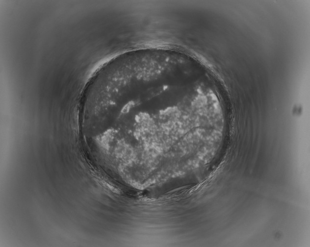 X0000095511214200801111406