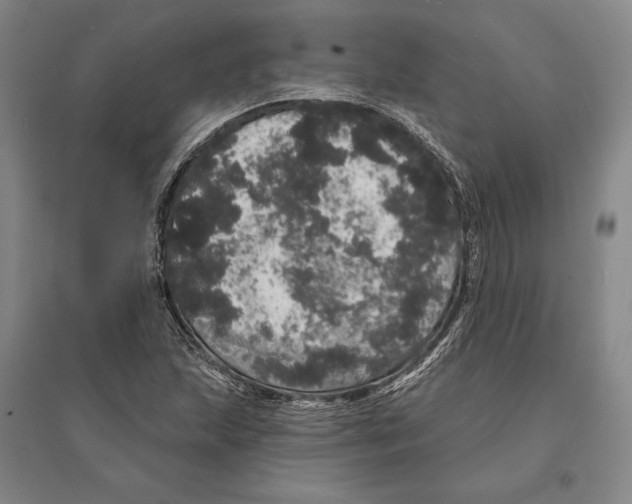 X0000095511215200801111406