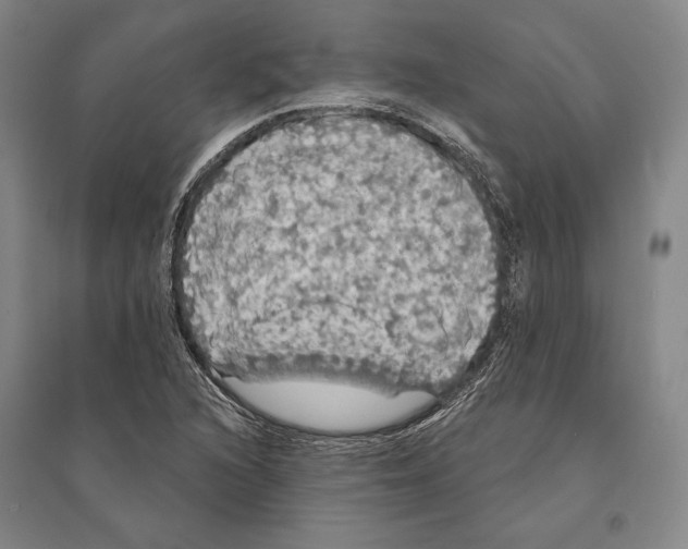 X0000095511216200801111406