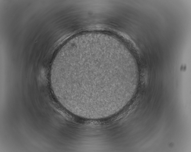 X0000095511217200801111406