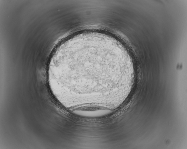 X0000095511218200801111406