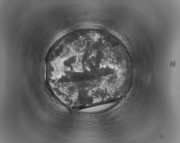 X0000095511219200801111406