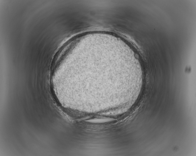 X0000095511220200801111406