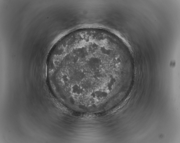 X0000095511221200801111406