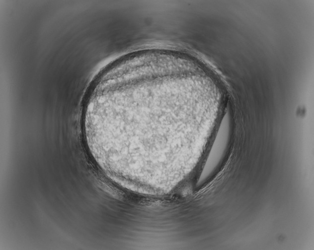 X0000095511222200801111406